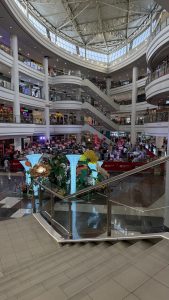 IMG_8701